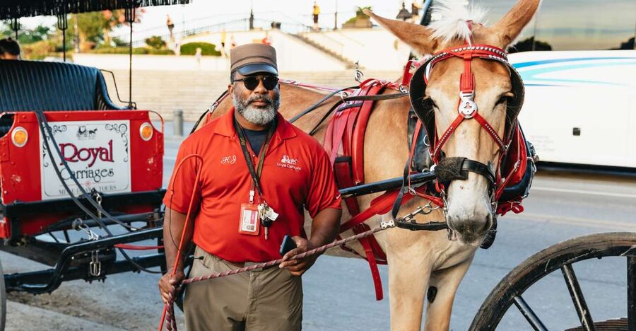 New Orleans: French Quarter Sightseeing Carriage Ride - The guides and the mule personalities that keep it fun
