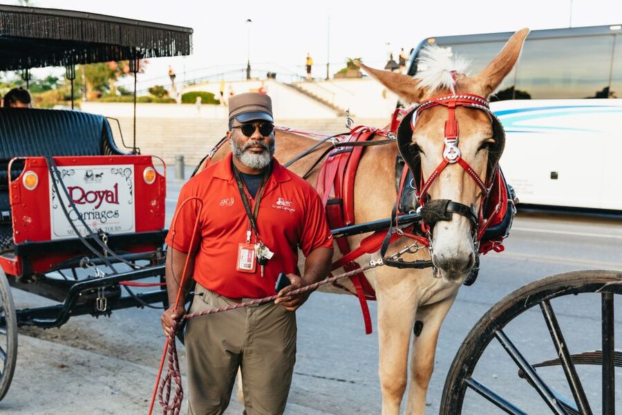 New Orleans: French Quarter Sightseeing Carriage Ride - Itinerary walkthrough, stop by stop, and what to watch for