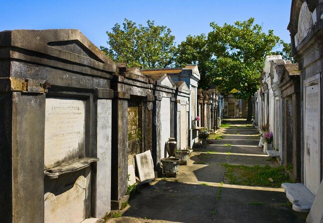 New Orleans Garden District History Walking Tour - Meet-up at 1427 Washington Ave, and how to find the right spot fast