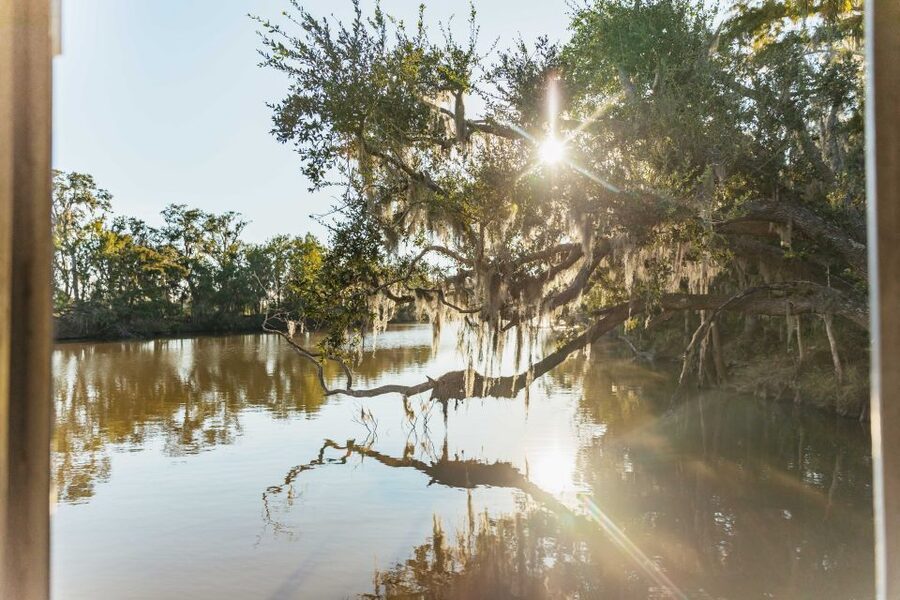 New Orleans: Guided Swamp Cruise by Tour Boat - Why the Barataria swamp cruise feels like a real change of pace