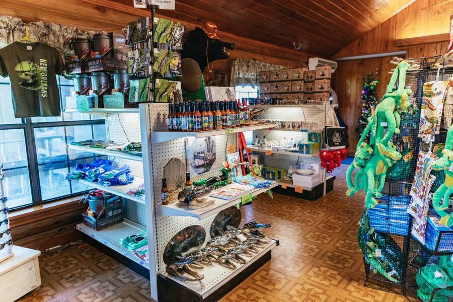 New Orleans: Guided Swamp Cruise by Tour Boat - The pace and comfort: why this tour works for families and first-timers