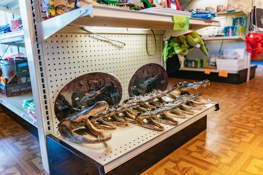 New Orleans: Guided Swamp Cruise by Tour Boat - What about snacks, bugs, and the small on-site extras?
