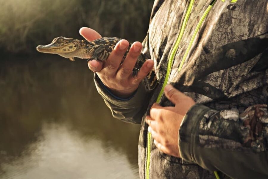 New Orleans: High Speed 16 Passenger Airboat Ride - Price and Value: Is $65 Worth It for a 100-Minute Airboat?