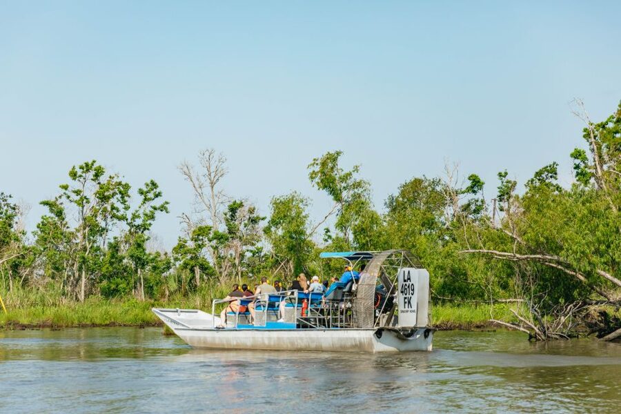 New Orleans: High Speed 9 Passenger Airboat Tour - Key things that make this airboat tour worth your time
