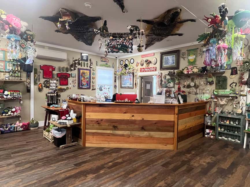 New Orleans Manchac Bayou Swamp Cruise W/ Optional Pick-Up - Wildlife sightings: what you should hope for, and what you cannot control