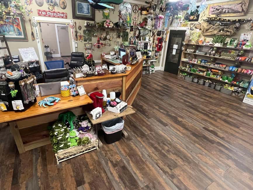 New Orleans Manchac Bayou Swamp Cruise W/ Optional Pick-Up - On the water: what the Manchac Swamp ride feels like