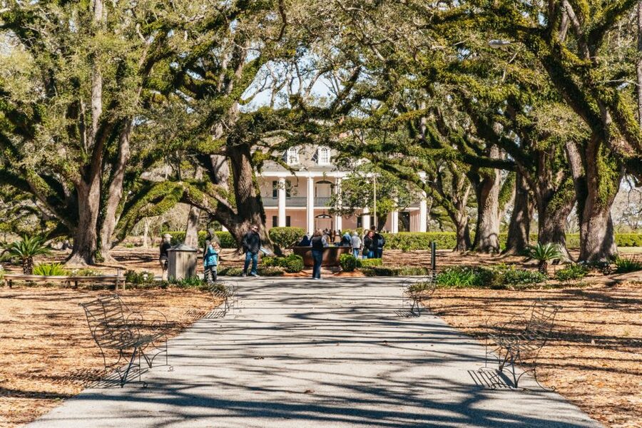 New Orleans: Oak Alley Plantation & Airboat Swamp Combo Tour - Oak Alley plus the bayou, a smart New Orleans pairing