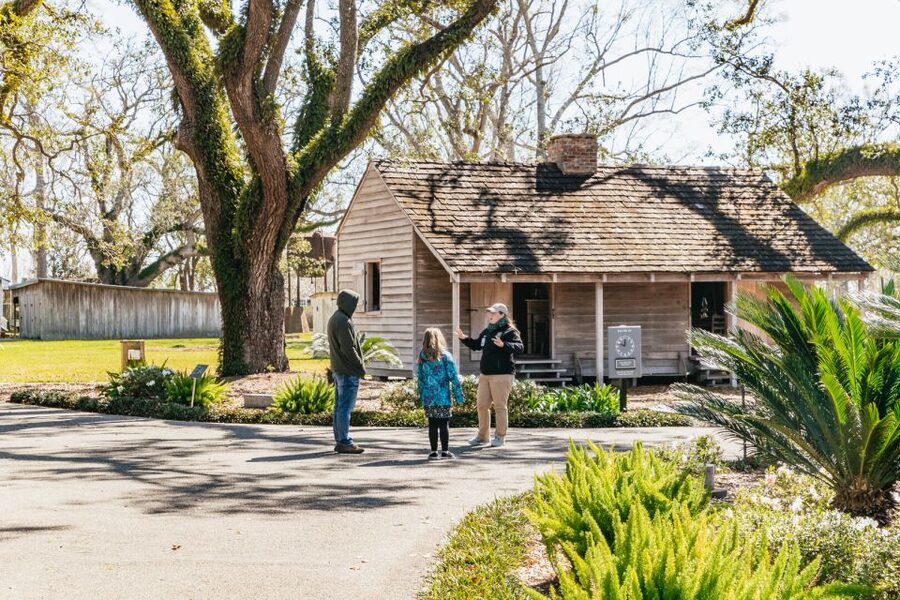 New Orleans: Oak Alley Plantation & Airboat Swamp Combo Tour - Airboat ride in the marsh: speed, scanning, and gator odds