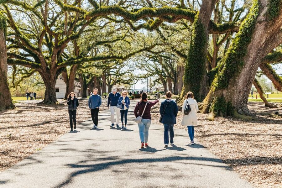 New Orleans: Oak Alley Plantation & Airboat Swamp Combo Tour - Price and value: what $160 is really covering