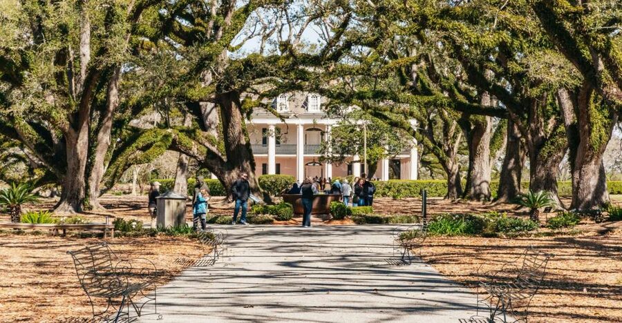 New Orleans: Oak Alley Plantation & Airboat Swamp Combo Tour - Hotel pickup and timing: what makes the day feel easy