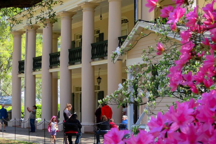 New Orleans: Oak Alley Plantation Tour with Transportation - Price and value: what $89 buys you on a long day