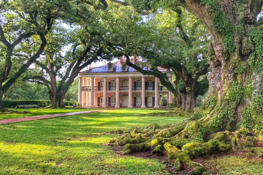 New Orleans: Oak Alley Plantation Tour with Transportation - The 1/4 mile Allee of oaks: iconic, and grounded in real labor