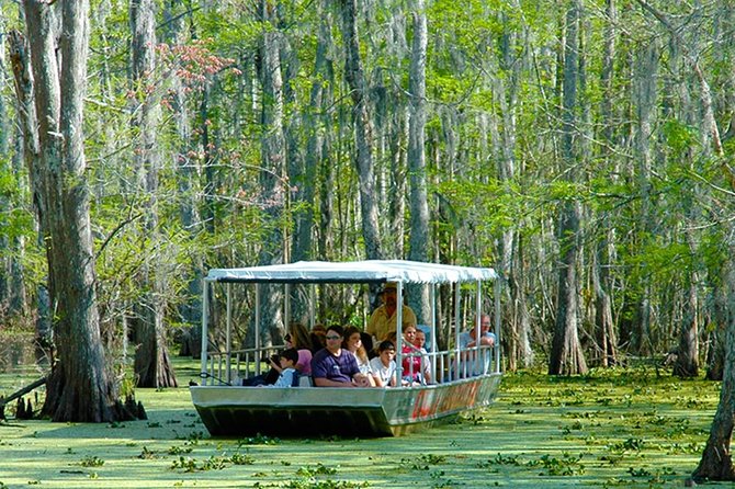 New Orleans Self-Transport Swamp and Bayou Boat Tour - From New Orleans to Slidell, You Drive, Then the Bayou Takes Over