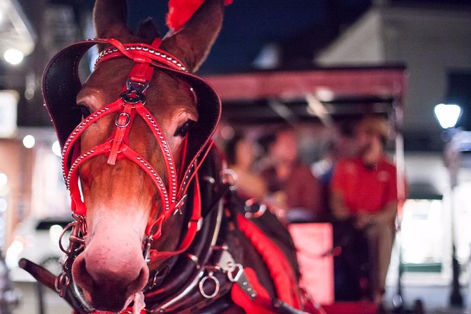 New Orleans Small-Group Haunted History Carriage Tour - Finding the carriage at 700 Decatur Street (and why arriving early matters)