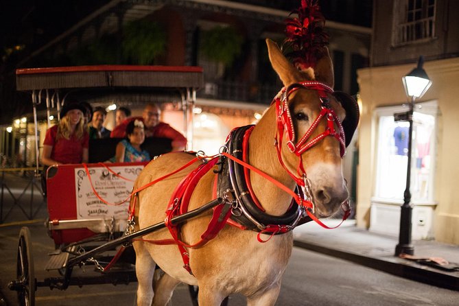 New Orleans Small-Group Haunted History Carriage Tour - Price and timing: what $65 buys you in real terms