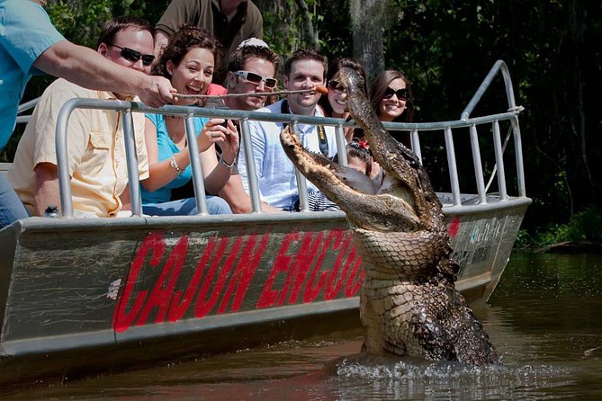 New Orleans Swamp and Bayou Boat Tour with Transportation - Key things I’d zero in on before you book