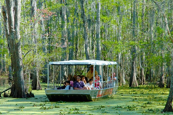 New Orleans Swamp and Bayou Boat Tour with Transportation - Guide Energy and Names You’ll Hear: Captain Steve, Captain Marc, and More