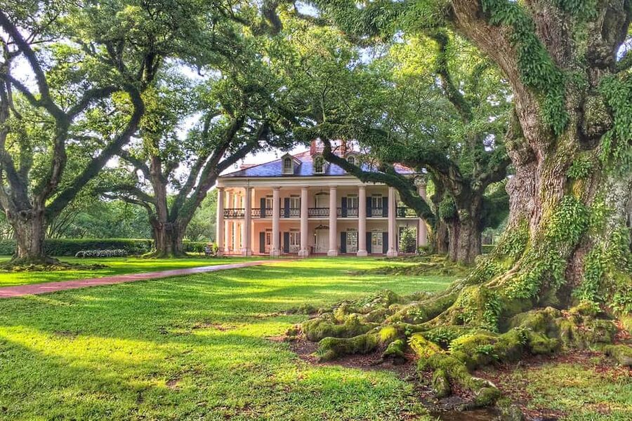 New Orleans: Swamp Boat Ride & Oak Alley Plantation Tour - Oak Alley Plantation: walking in under 28 nearly 300-year-old oaks