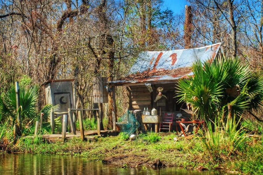 New Orleans: Swamp Boat Ride & Oak Alley Plantation Tour - Wildlife sightings: alligators, plus the bonus animals that show up