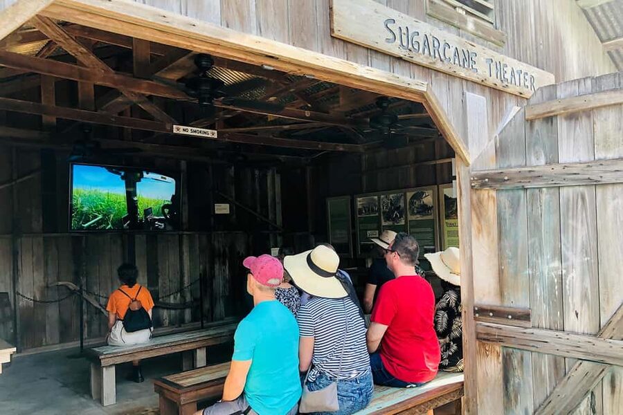 New Orleans: Swamp Boat Ride & Oak Alley Plantation Tour - Timing and comfort for a 7.5 hour day