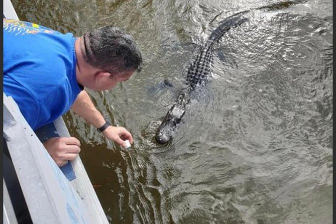 New Orleans Swamp Tour Boat Adventure - Captains and stories: the human factor that earns the high ratings