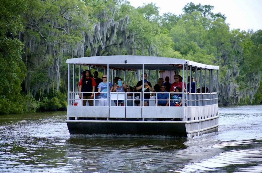 New Orleans: Swamp Tour on Covered Pontoon Boat - Key Things I’d Watch For