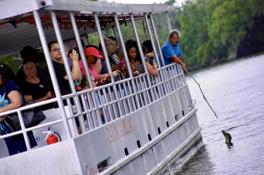 New Orleans: Swamp Tour on Covered Pontoon Boat - Wildlife Spotting That Actually Makes Sense