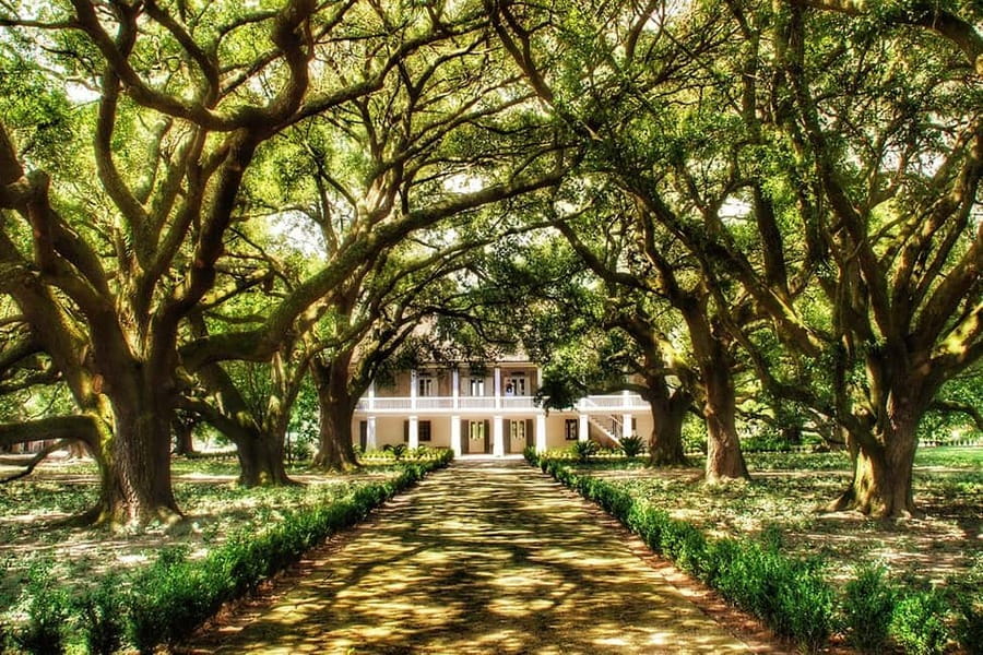 New Orleans: Whitney Plantation Tour with Transportation - The 5-hour day plan from New Orleans, step by step