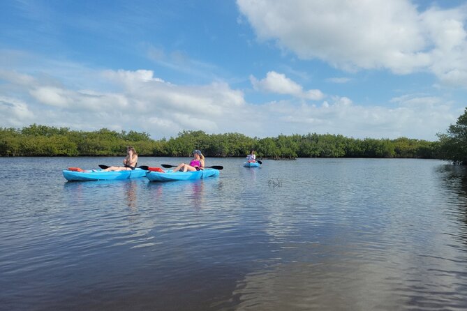 New Smyrna Dolphin and Manatee Kayak and SUP Adventure Tour - Entering The Water At Divito Park