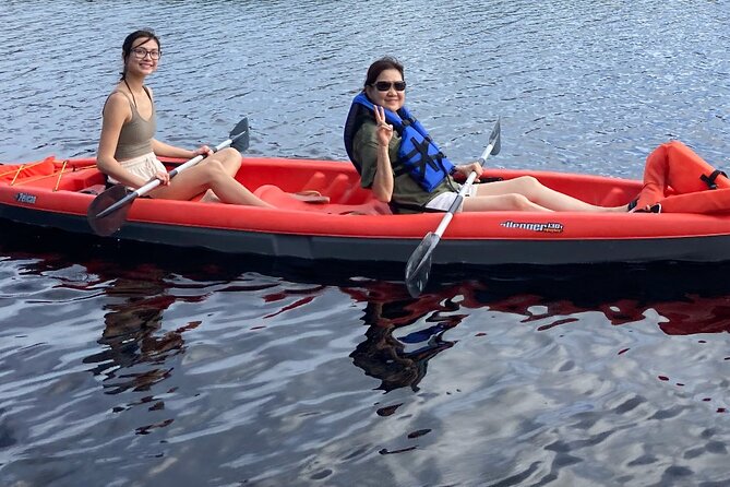 New Smyrna Dolphin and Manatee Kayak and SUP Adventure Tour - Wildlife Spotting: What You Might See and How To Not Be Disappointed