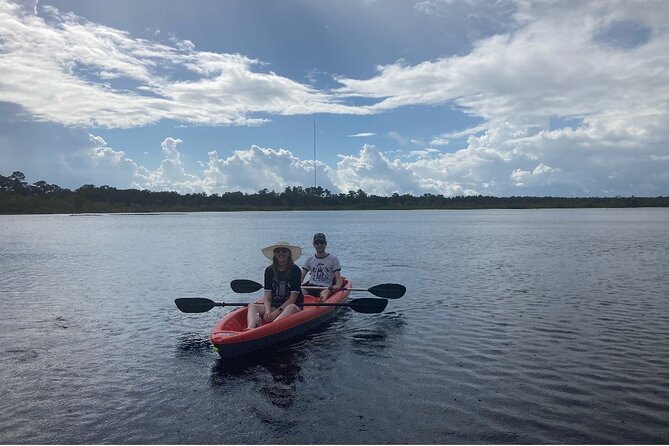 New Smyrna Dolphin and Manatee Kayak and SUP Adventure Tour - Kayak Vs SUP: Comfort, Visibility, and Getting the Most From Your Paddle