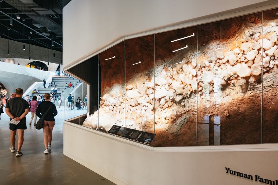 New York City: American Museum of Natural History Ticket - Ticketed exhibitions that can turn your day into a full program