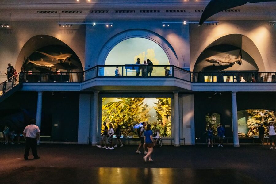 New York City: American Museum of Natural History Ticket - The Richard Gilder Center: modern science, planetarium time, and hands-on energy