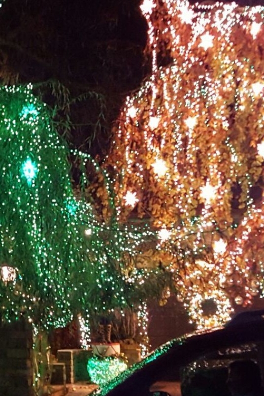 New York City: Dyker Heights Christmas Lights Tour - FAQ