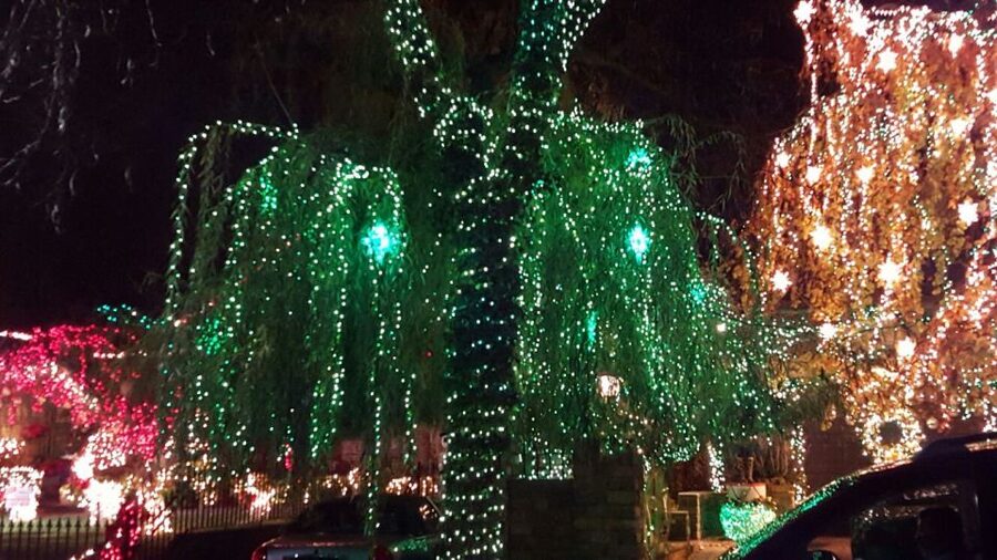 New York City: Dyker Heights Christmas Lights Tour - Dyker Heights at night: why this tour works better than winging it