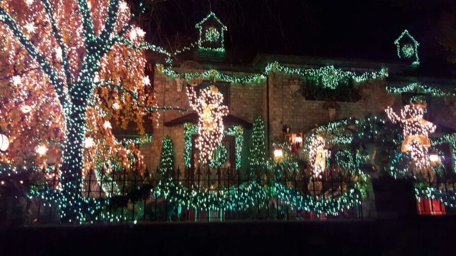 New York City: Dyker Heights Christmas Lights Tour - Price and value for a 4-hour guided lights loop