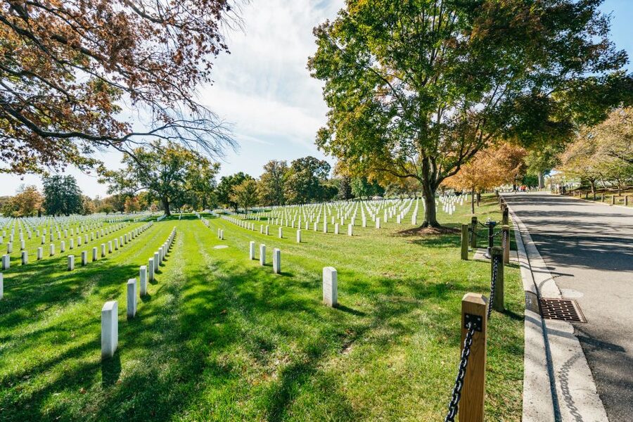 New York City: Full-Day Washington DC City Highlights Tour - White House and Capitol Hill photo stops: big views, short time