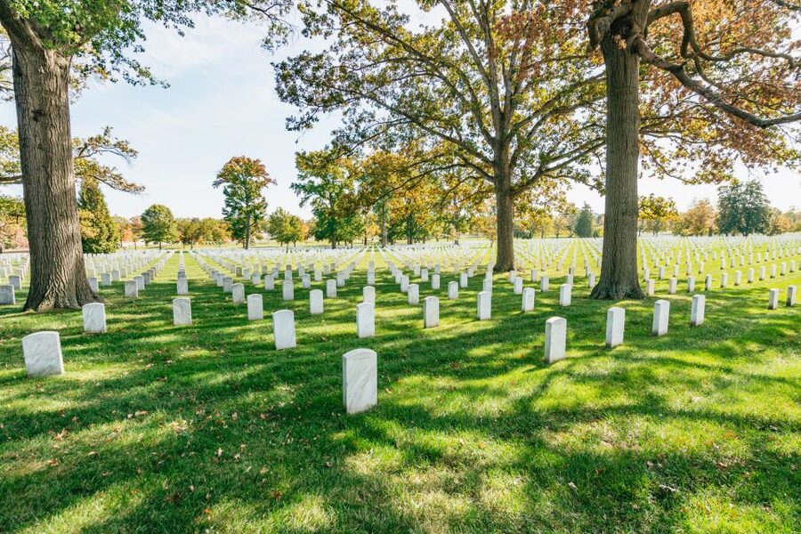 New York City: Full-Day Washington DC City Highlights Tour - Late afternoon bus tour and a pass by Washington Monument