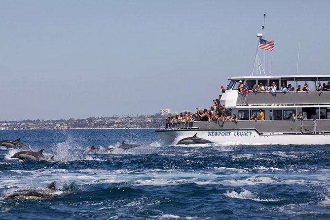 Newport Beach: Whale and Dolphin-Watching Cruise - FAQ