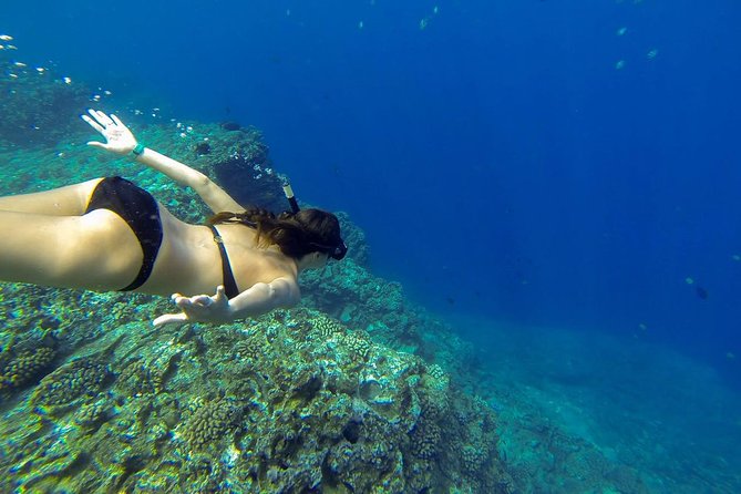 Ni'ihau and Na Pali Coast Snorkel Boat Tour - Crew style and how captains handle the ocean’s mood swings