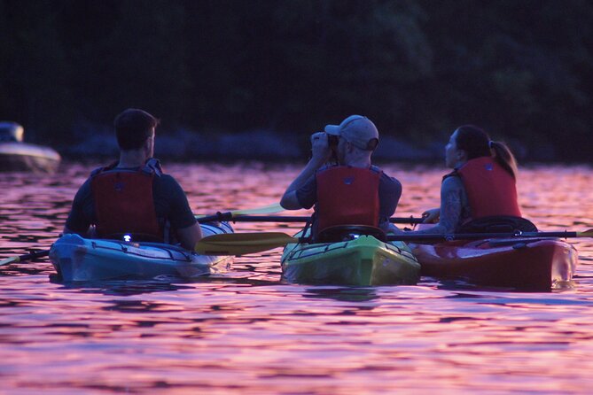 Nickajack Bat Cave Kayak Tour with Chattanooga Guided Adventures - Weather Notes: When Plans Shift, the Goal Still Stays the Same
