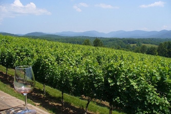 North Georgia Wine Country Tour from Atlanta - North Georgia wine and Helen is a smart day trip from Atlanta