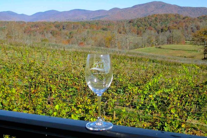 North Georgia Wine Country Tour from Atlanta - Serenity Cellars: where the visit can feel more like a show