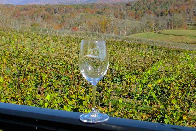 North Georgia Wine Country Tour from Atlanta - Helen, Georgia free time: Bavarian-style wandering with real choices
