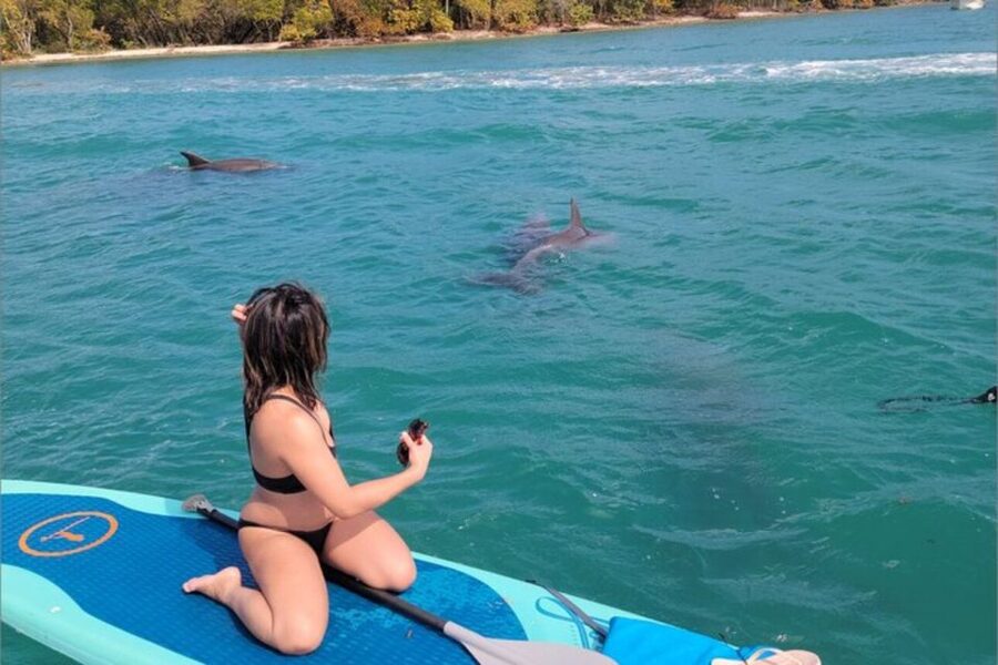 North Miami: Nature & Island Exploration on SUP/Kayak - Key highlights worth your attention