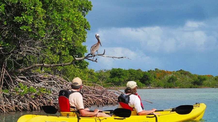 North Miami: Nature & Island Exploration on SUP/Kayak - First paddle lessons at Venetian Marina