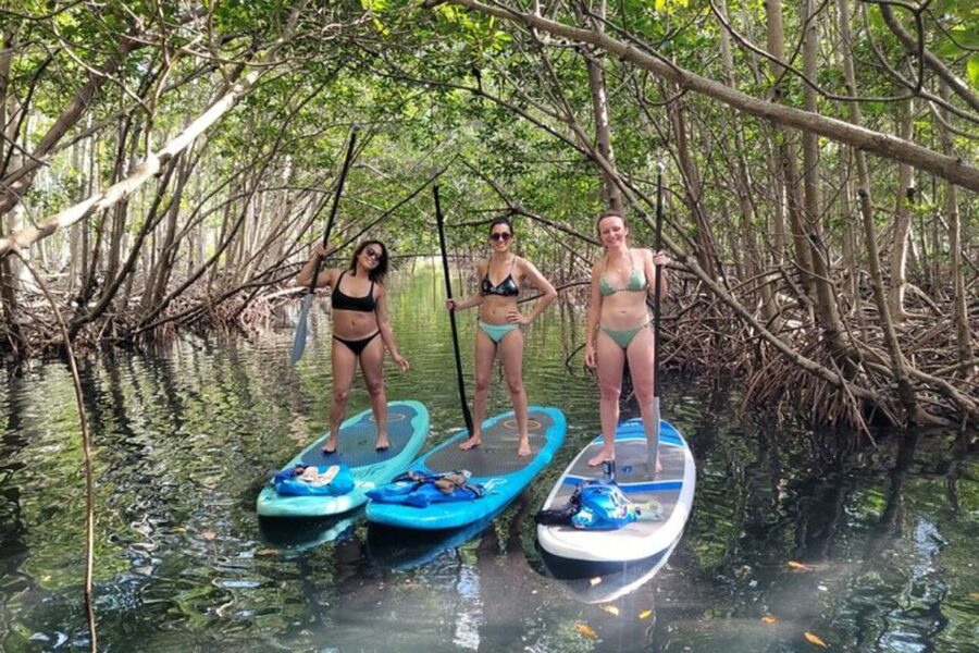 North Miami: Nature & Island Exploration on SUP/Kayak - Wildlife watching with realistic expectations