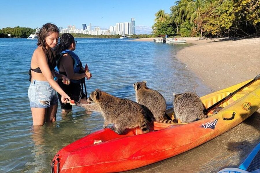 North Miami: Nature & Island Exploration on SUP/Kayak - The island break: snacks, drinks, swim time