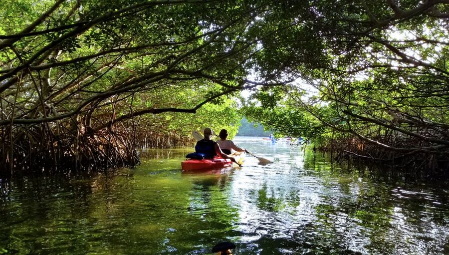 North Miami: Nature & Island Exploration on SUP/Kayak - How the trip fits a busy Miami schedule