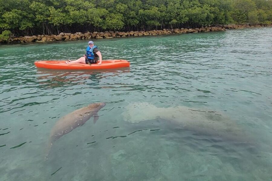 North Miami: Nature & Island Exploration on SUP/Kayak - After you paddle: more time in the park
